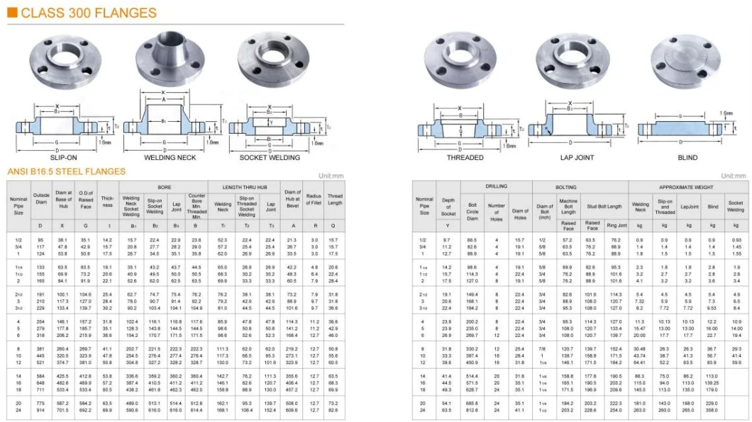 Forged Flange with ANSI/ Amse B16.5 B16.47 DIN En1092 En 1092 JIS BS as 2129 As2129 Stainless Steel Ss 304 316 Pipe Fitting