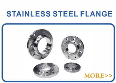 DIN 150# Forged Stainless Steel 316L Blind Plate Pipe Flange